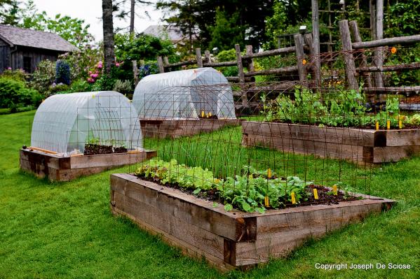 Jardin de senior l hiver