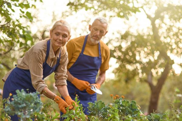 Jardin pour la saison hivernale des seniors