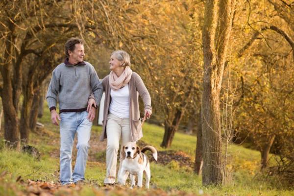 Promener un chien seniors