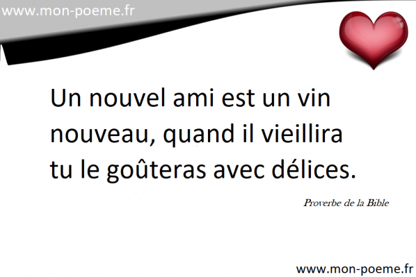 Proverbe pour seniors