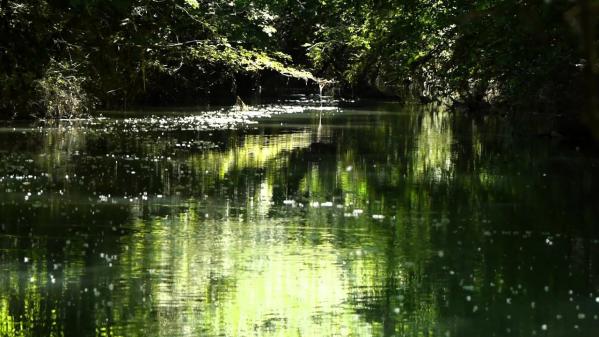 Voyage dans la nature